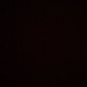 Meet your Posher, Dylan